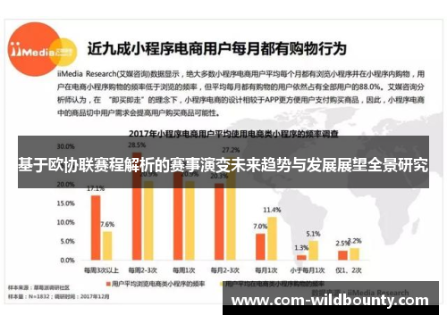 基于欧协联赛程解析的赛事演变未来趋势与发展展望全景研究