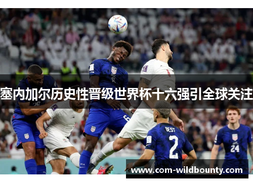 塞内加尔历史性晋级世界杯十六强引全球关注